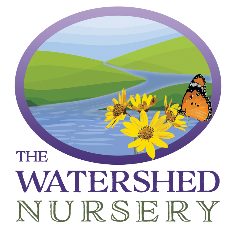 Logo The Watershed Nursery.